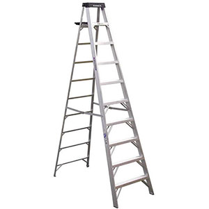 a frame ladder for rent